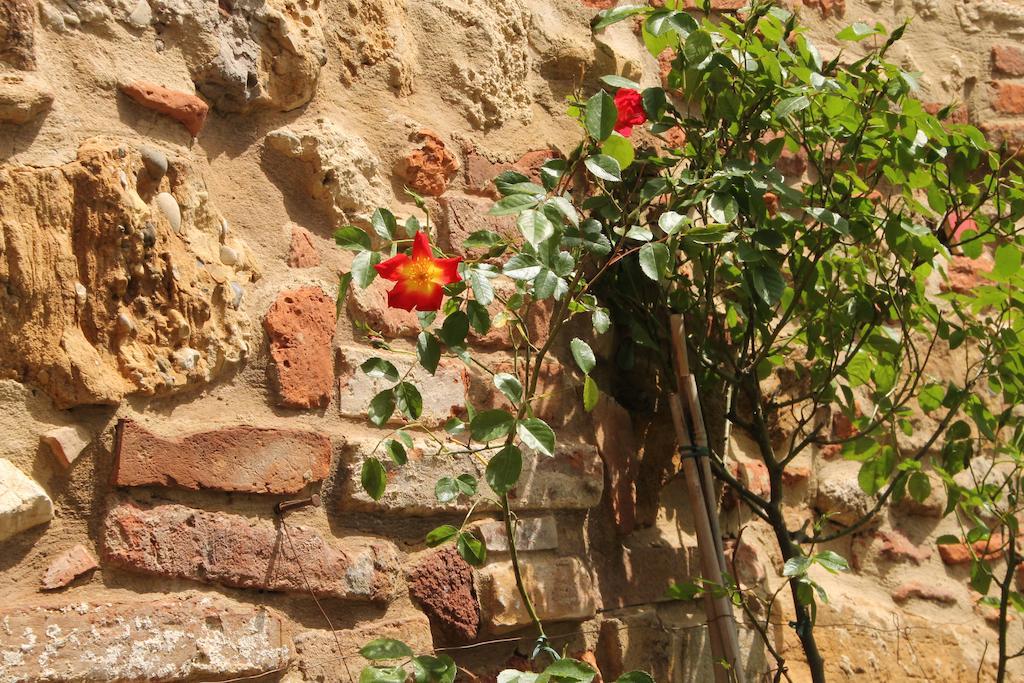 La Corte Segreta Montepulciano Stazione Dış mekan fotoğraf